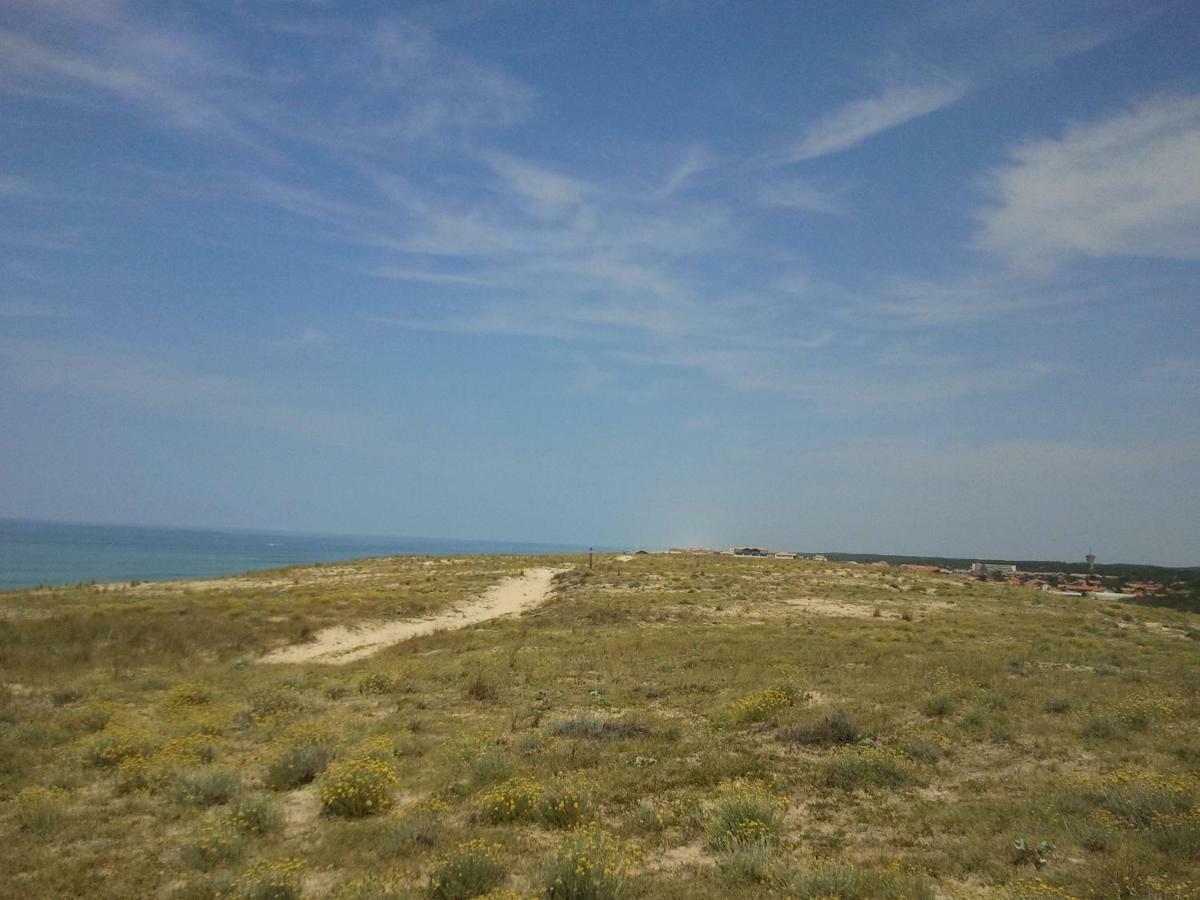 La Pinede Oceane,400M Des Plages Mimizan Exterior foto